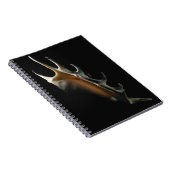 Conch shell notitieboek (Rechterzijde)