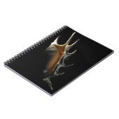 Conch shell notitieboek (Linkerzijde)