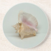CONCH SHELL ONDERZETTER (Voorkant)