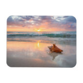 Conch Shell op de Beach | Jamaica Magneet (Horizontaal)