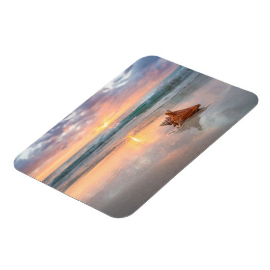 Conch Shell op de Beach | Jamaica Magneet (Linkerzijde)