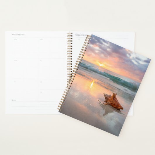 Conch Shell op de Beach | Jamaica Planner (Display)