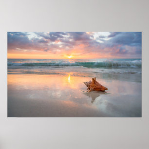 Conch Shell op de Beach   Jamaica Poster