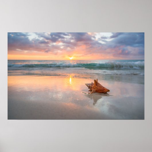 Conch Shell op de Beach | Jamaica Poster (Voorkant)