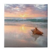 Conch Shell op de Beach | Jamaica Tegeltje (Voorkant)