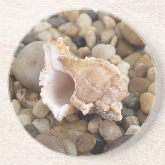 Conch Shell op Pebbles Zandsteen Onderzetter (Voorkant)
