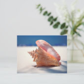 Conch Shell op strand 2 Briefkaart (Staand voorkant)