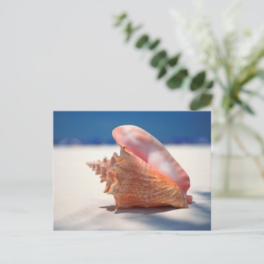 Conch Shell op strand 2 Briefkaart (Staand voorkant)