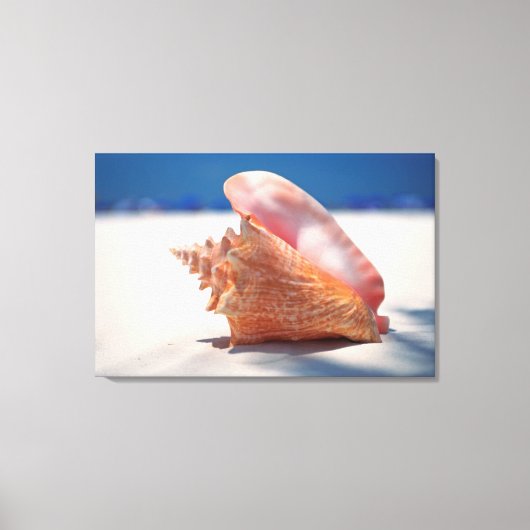 Conch Shell op strand 2 Canvas Afdruk (Voorkant)