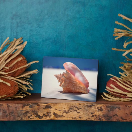 Conch Shell op strand 2 Fotoplaat (Zijkant)