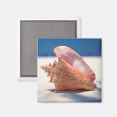 Conch Shell op strand 2 Magneet (Voorkant / Achterkant)