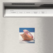 Conch Shell op strand 2 Magneet (Insitu (Vaatwasser))