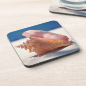 Conch Shell op strand 2 Onderzetter (Linkerzijde)