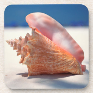 Conch Shell op strand 2 Onderzetter