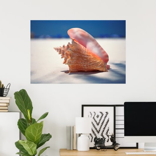 Conch Shell op strand 2 Poster (Thuiskantoor)