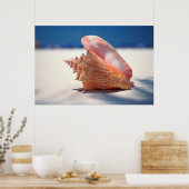Conch Shell op strand 2 Poster (Keuken)