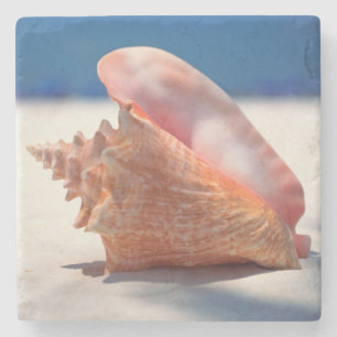 Conch Shell op strand 2 Stenen Onderzetter