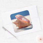 Conch Shell op strand 2 Vierkante Sticker (Envelop)