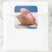 Conch Shell op strand 2 Vierkante Sticker (Tas)