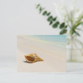 Conch Shell op strand 3 Briefkaart (Staand voorkant)