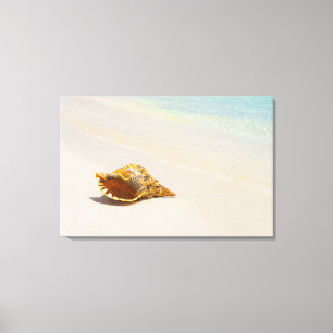 Conch Shell op strand 3 Canvas Afdruk