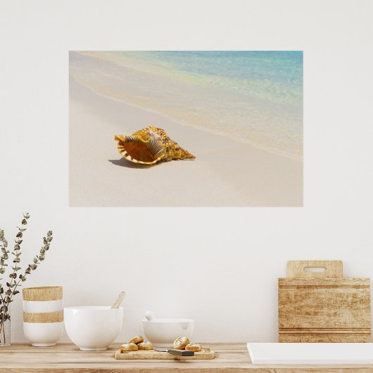 Conch Shell op strand 3 Poster (Keuken)
