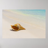 Conch Shell op strand 3 Poster (Voorkant)
