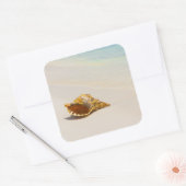 Conch Shell op strand 3 Vierkante Sticker (Envelop)