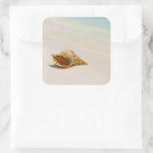 Conch Shell op strand 3 Vierkante Sticker (Tas)