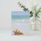 Conch Shell op strand | Florida, Sint-Petersburg Briefkaart (Staand voorkant)