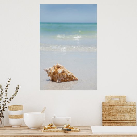Conch Shell op strand | Florida, Sint-Petersburg Poster (Keuken)