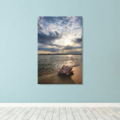 Conch Shell op strand | St. Augustinus, Fl Canvas Afdruk (Insitu (Houten vloer))
