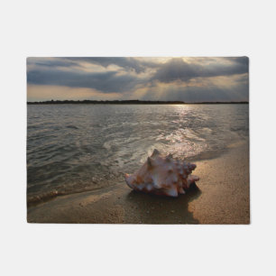 Conch Shell op strand St. Augustinus, Fl Deurmat