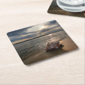 Conch Shell op strand | St. Augustinus, Fl Kartonnen Onderzetters (Schuin)