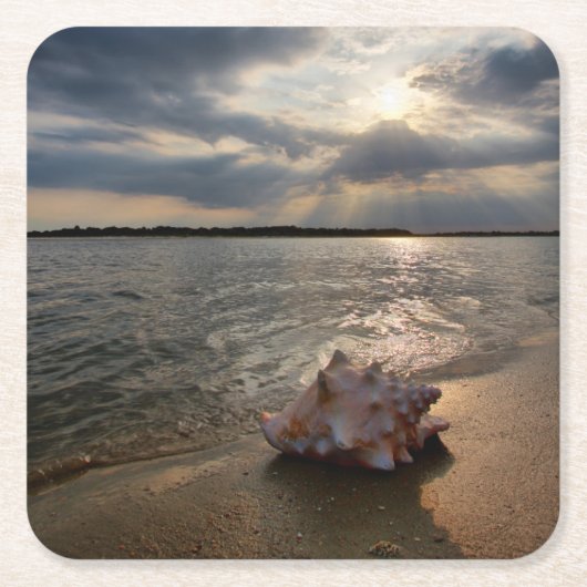 Conch Shell op strand | St. Augustinus, Fl Kartonnen Onderzetters (Voorkant)