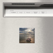 Conch Shell op strand | St. Augustinus, Fl Magneet (Insitu (Vaatwasser))