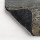Conch Shell op strand | St. Augustinus, Fl Muismat (Hoek)