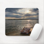 Conch Shell op strand | St. Augustinus, Fl Muismat (Met muis)