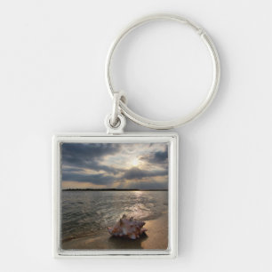 Conch Shell op strand St. Augustinus, Fl Sleutelhanger