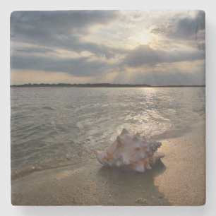 Conch Shell op strand   St. Augustinus, Fl Stenen Onderzetter