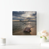 Conch Shell op strand | St. Augustinus, Fl Vierkante Klok (Huis)