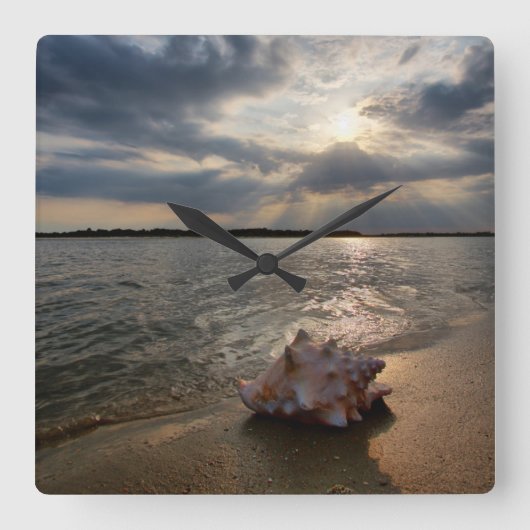 Conch Shell op strand | St. Augustinus, Fl Vierkante Klok (Voorkant)