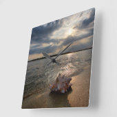 Conch Shell op strand | St. Augustinus, Fl Vierkante Klok (Hoek)