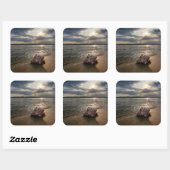 Conch Shell op strand | St. Augustinus, Fl Vierkante Sticker (Vel)