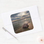 Conch Shell op strand | St. Augustinus, Fl Vierkante Sticker (Envelop)