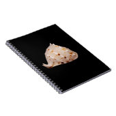Conch Shell Photo Notitieboek (Rechterzijde)