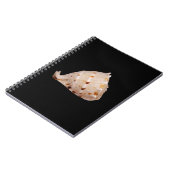 Conch Shell Photo Notitieboek (Linkerzijde)