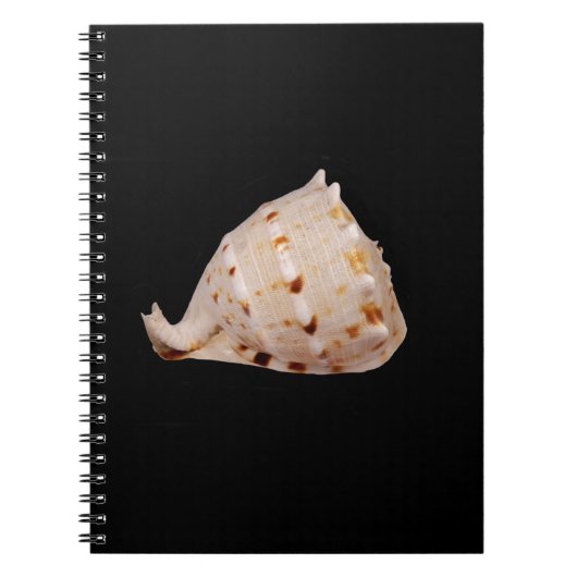 Conch Shell Photo Notitieboek (Voorkant)