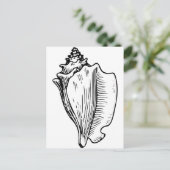 Conch Shell Sketch Briefkaart (Staand voorkant)