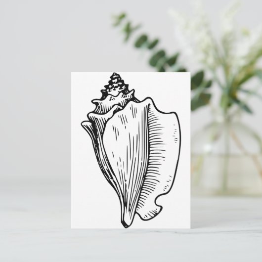 Conch Shell Sketch Briefkaart (Staand voorkant)